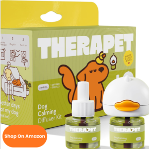 cópia de texto do seu parágrafo (22)