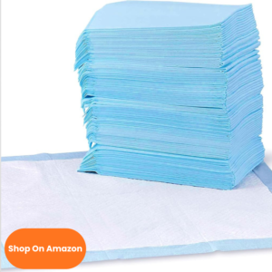 cópia de texto do seu parágrafo (23)