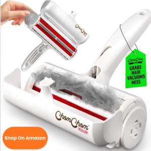 cópia de texto do seu parágrafo (24)