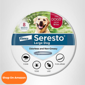 cópia de texto do seu parágrafo (27)