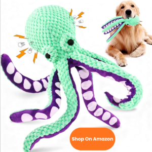 cópia de texto do seu parágrafo (32)