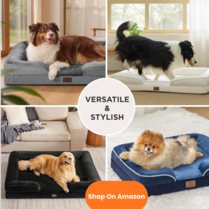 cópia de texto do seu parágrafo (36)