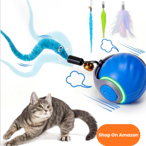 cópia de texto do seu parágrafo (40)