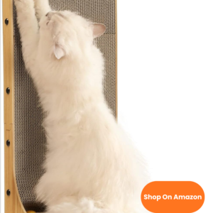 cópia de texto do seu parágrafo (41)